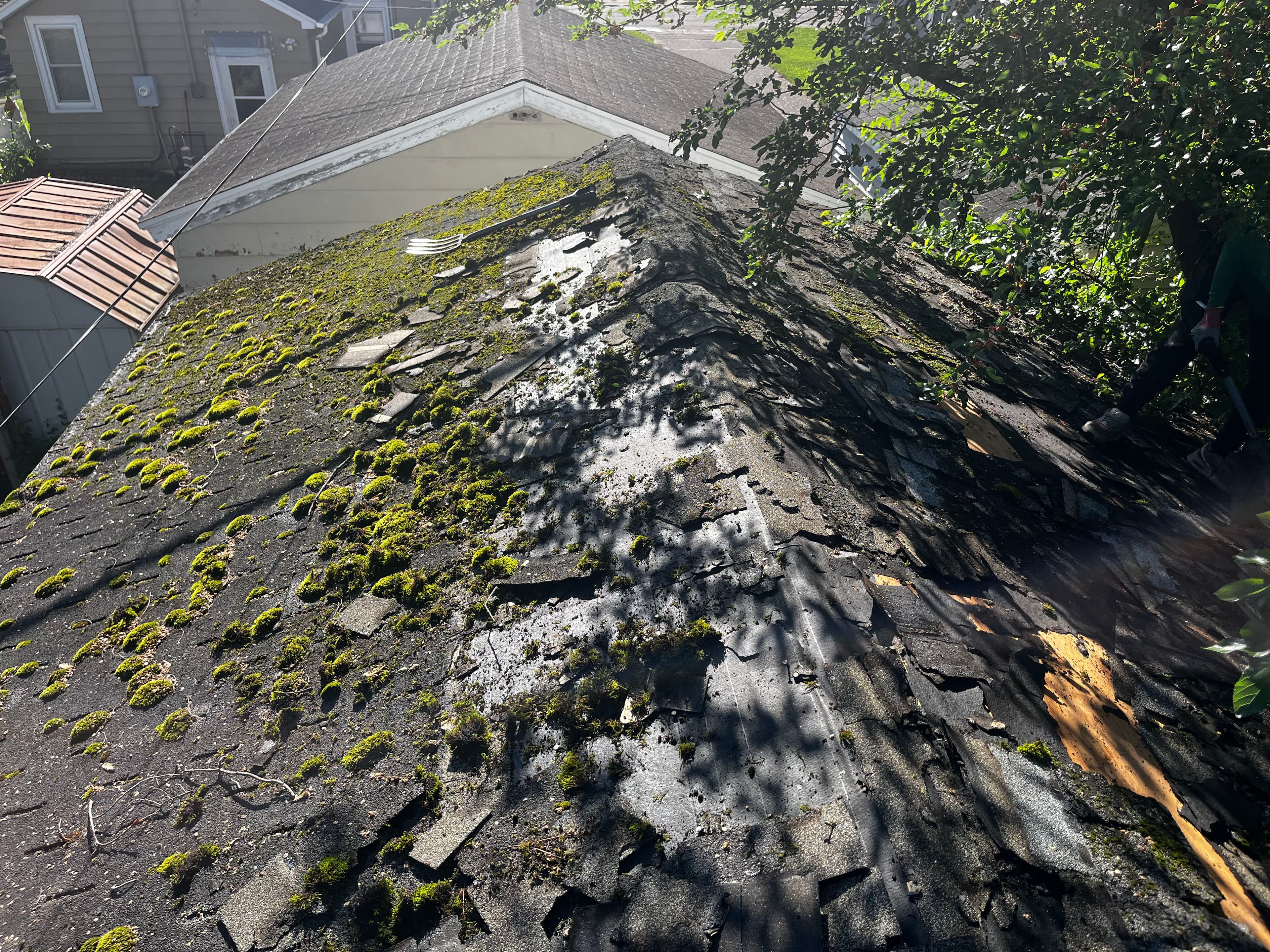 Project Moss-Covered Garage Roof Gets a Full Replacement with CertainTeed NorthGate image